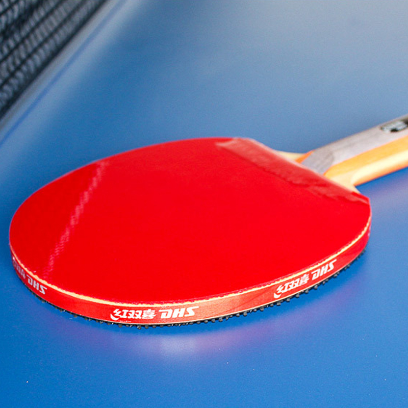 DHS Self-adhesive Table Tennis - Table Tennis Paddle Set ulasan dan harga