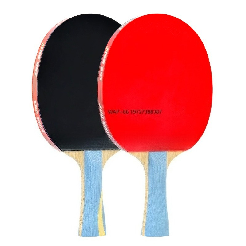 New Arrive Top Ranking  Profes - Table Tennis Ranking ulasan dan harga