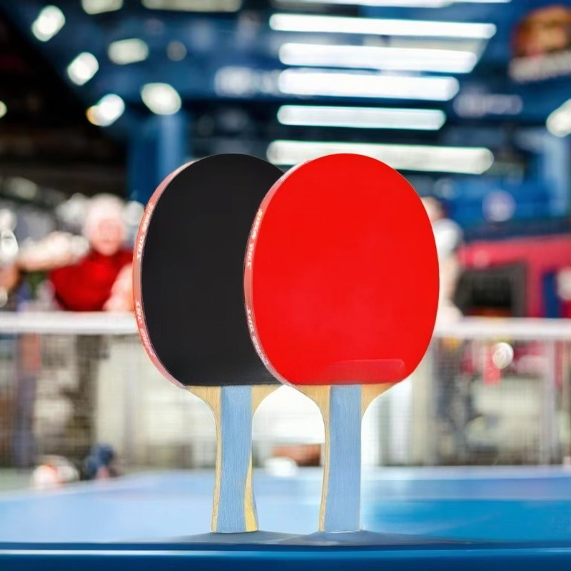 New Arrive Top Ranking  Profes - Table Tennis Ranking ulasan dan harga
